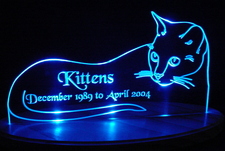 Cat Acrylic Lighted Edge Lit LED Sign / Light Up Plaque Kitten